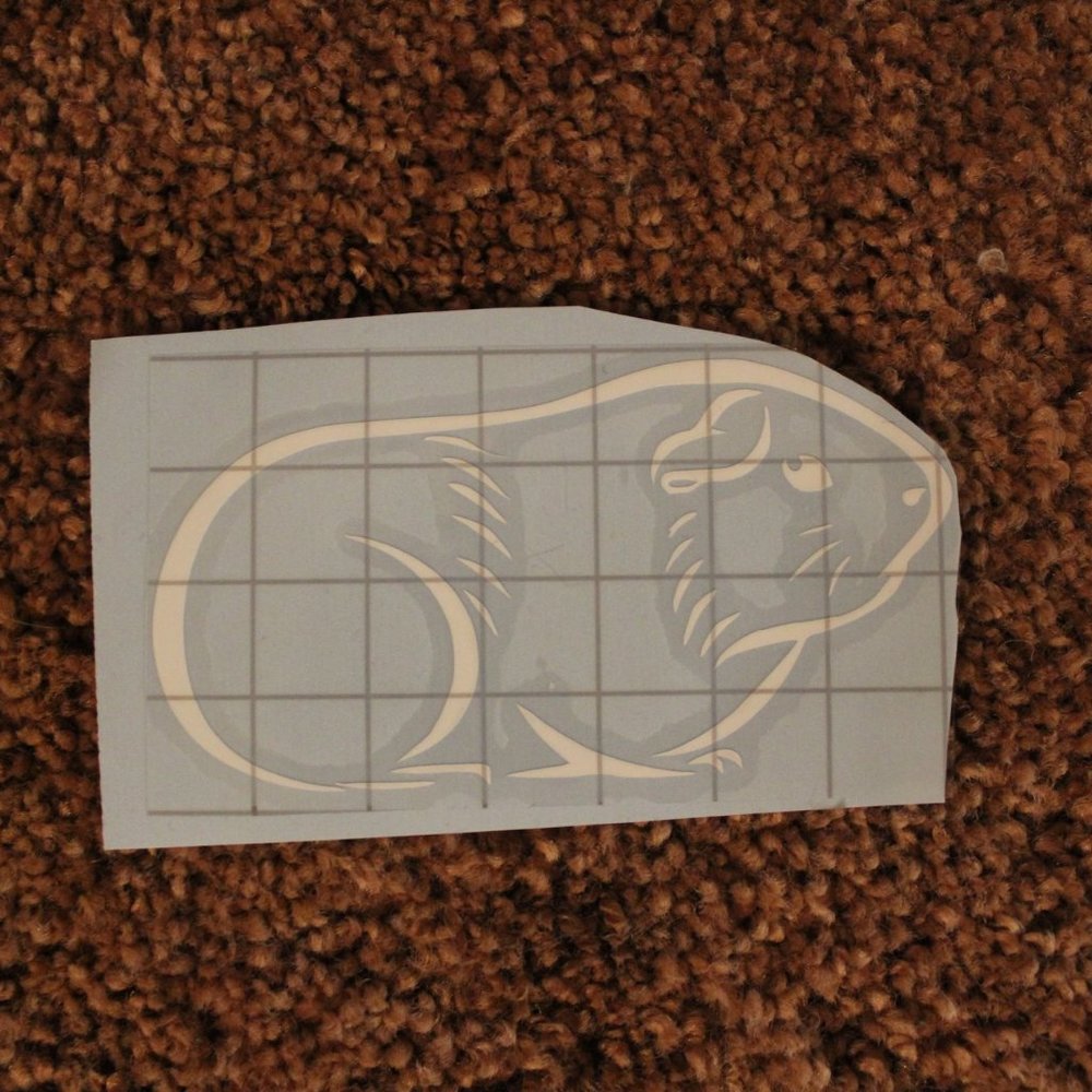 Guinea Pig/ Cavy Decal